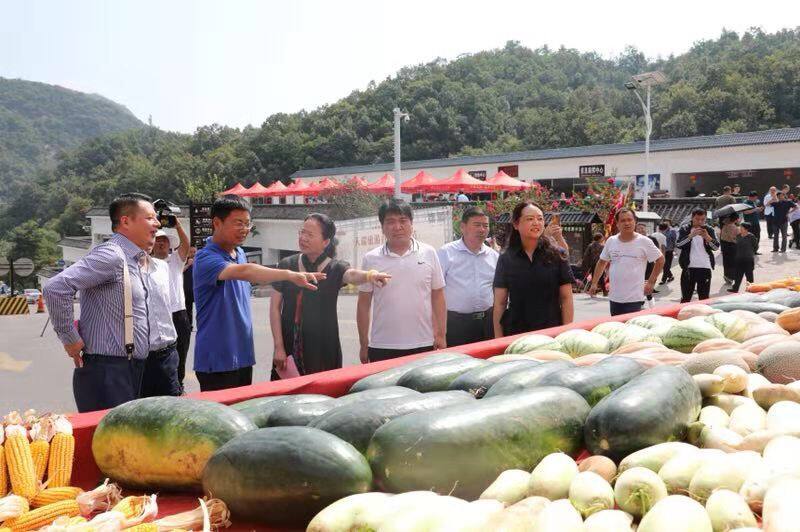 %28新媒体稿)“丰收中原·老家河南”主题系(3766082)-20190910094124.jpg %28新媒体稿)“丰收中原·老家河南”主题系(3766082)-20190910094124.jpg