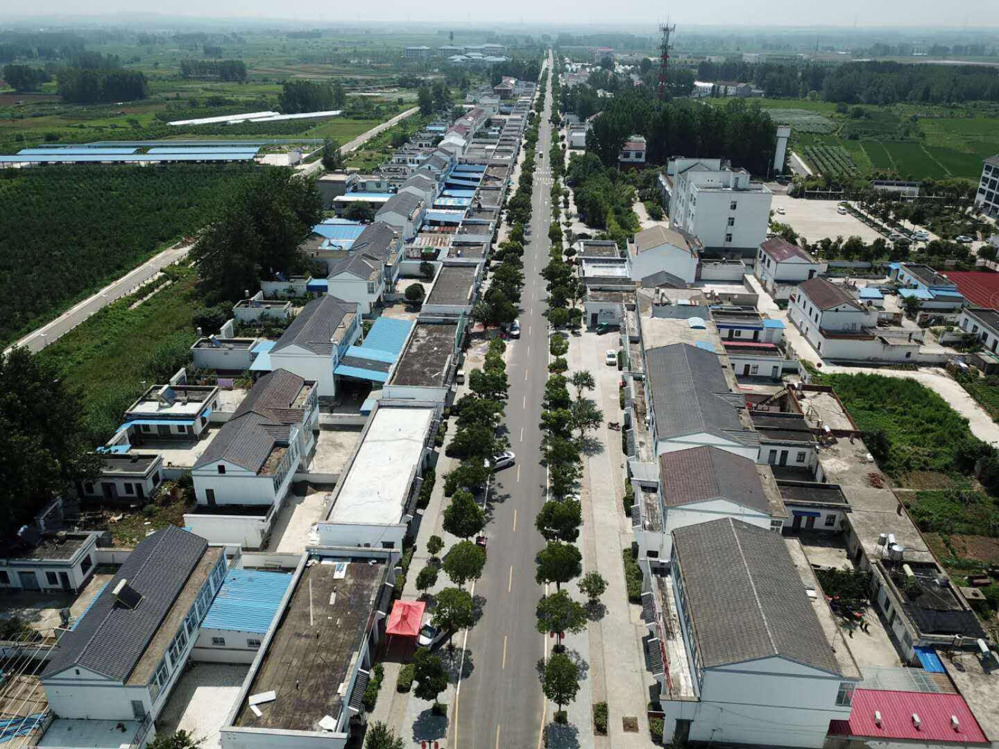 小岗村全貌（航拍）.jpg