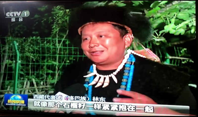 新闻联播02.png 新闻联播02.png