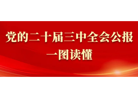 党的二十届三中全会公报一图读懂