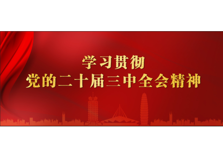 学习贯彻党的二十届三中全会精神