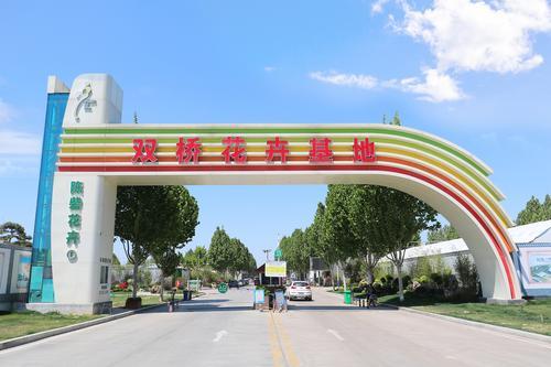 央视《第一时间》直播点赞郑州陈砦花卉双桥基地:形成"买全球,卖全球"