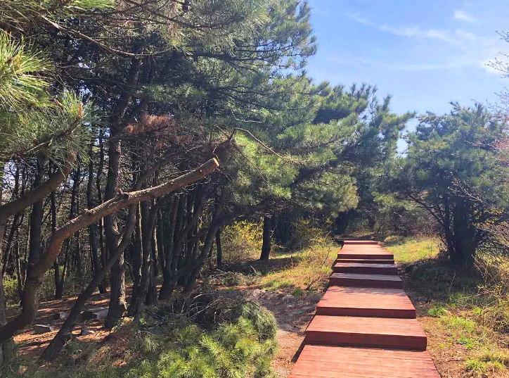 國家森林公園有人工油松林2700餘畝,原始森林近5000畝,森林覆蓋率達90