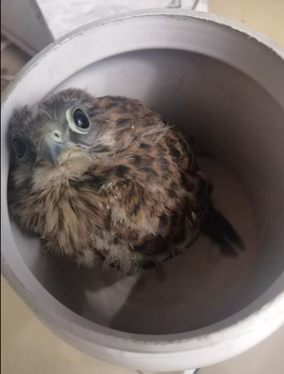 郑州晚报 郑州客户端官方网站