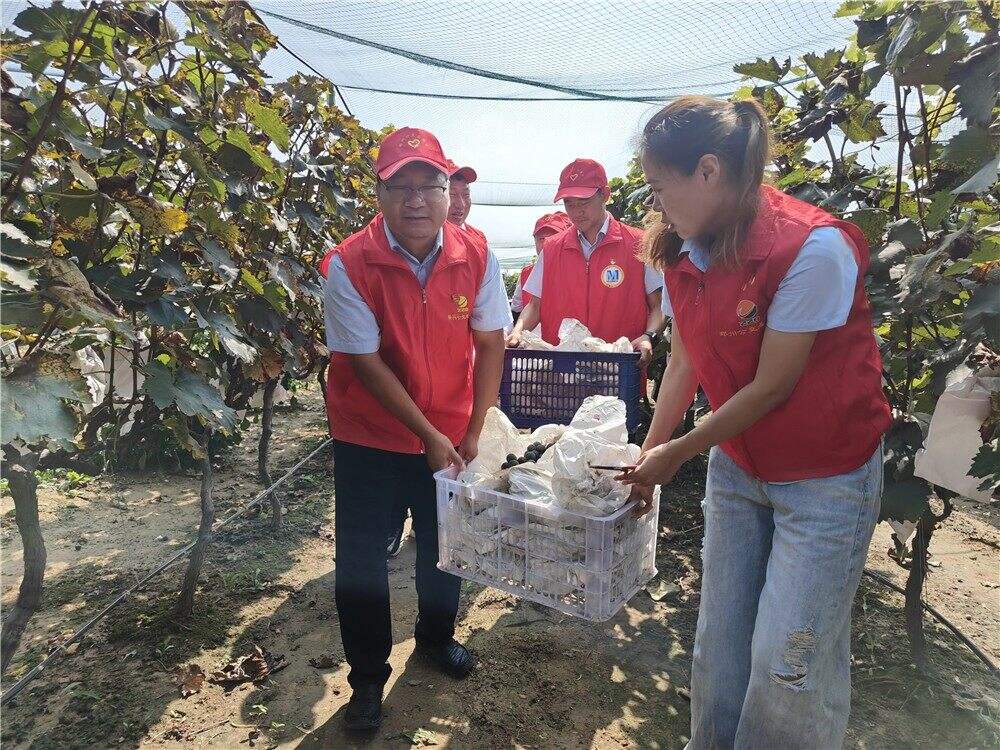 图片——（新媒体）志愿服务进果园 暖心助(7463071)-20230809143636.jpg