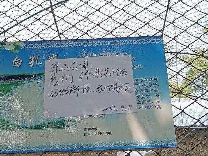 ee2e95b6b090c8e394d13d78cff897c6~tplv-tt-origin-asy1_5aS05p2hQOWMl-mdkue9kQ==.jpg ee2e95b6b090c8e394d13d78cff897c6~tplv-tt-origin-asy1_5aS05p2hQOWMl-mdkue9kQ==.jpg