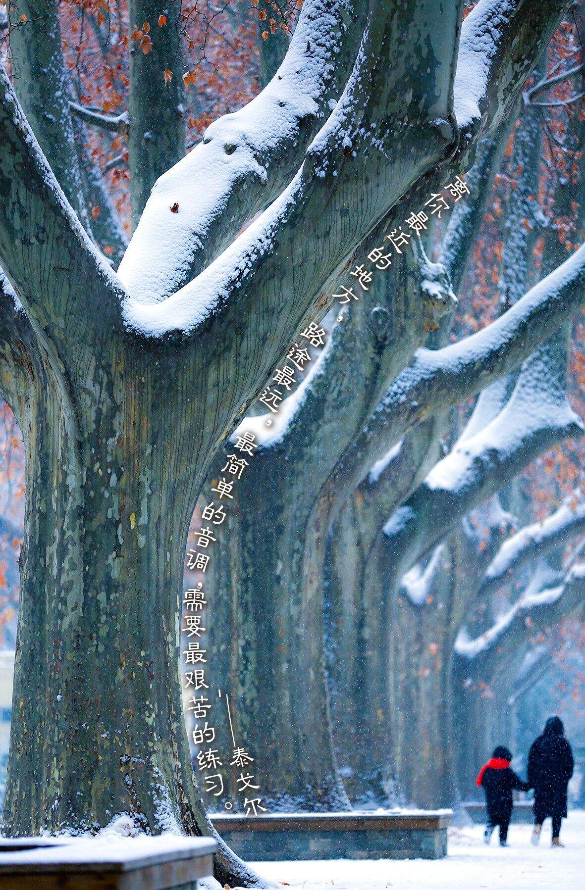 微信图片_20240120175432.jpg 微信图片_20240120175432.jpg