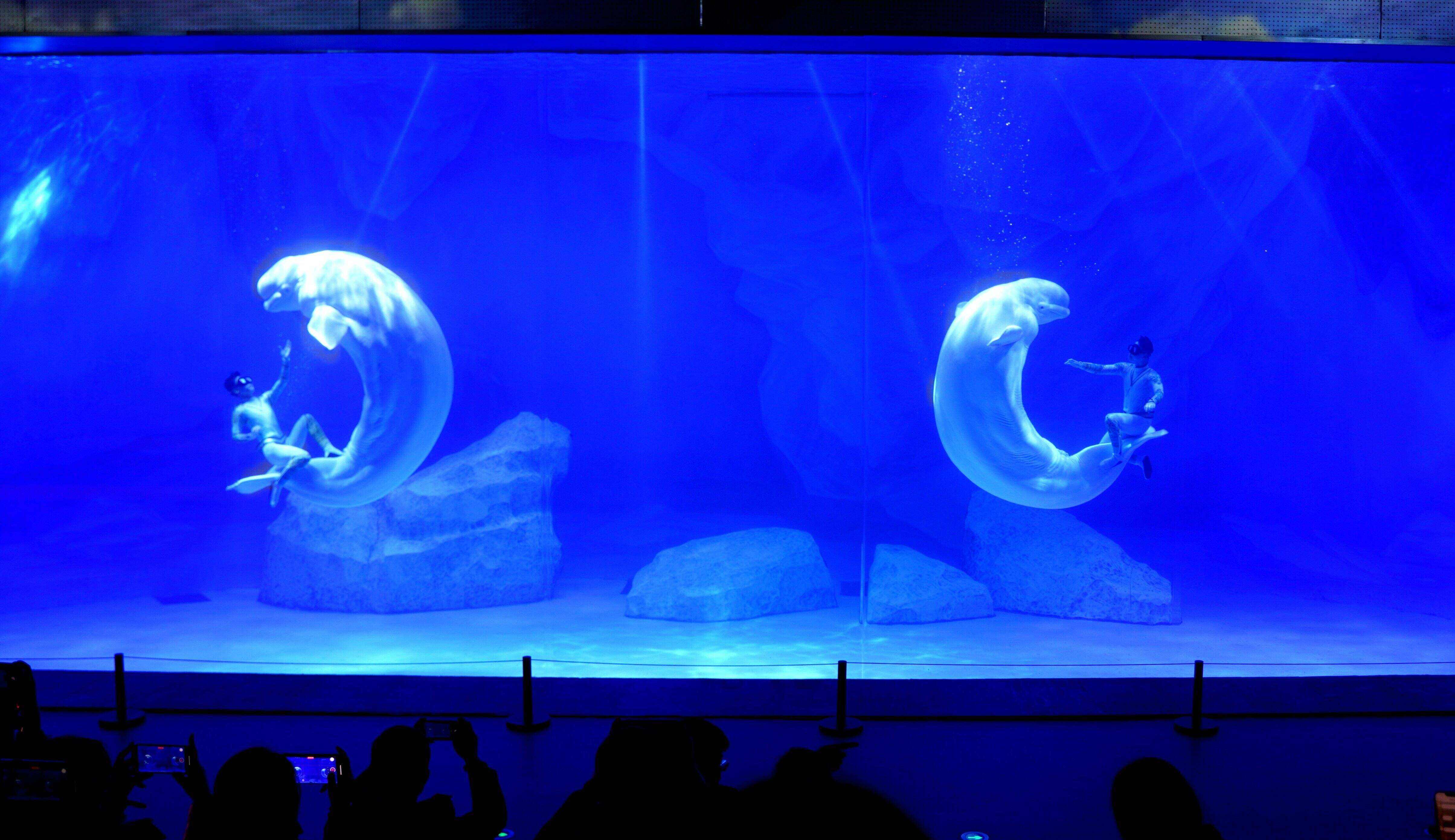 031124d923ac4fe693e81ba9a1797706.jpg 031124d923ac4fe693e81ba9a1797706.jpg