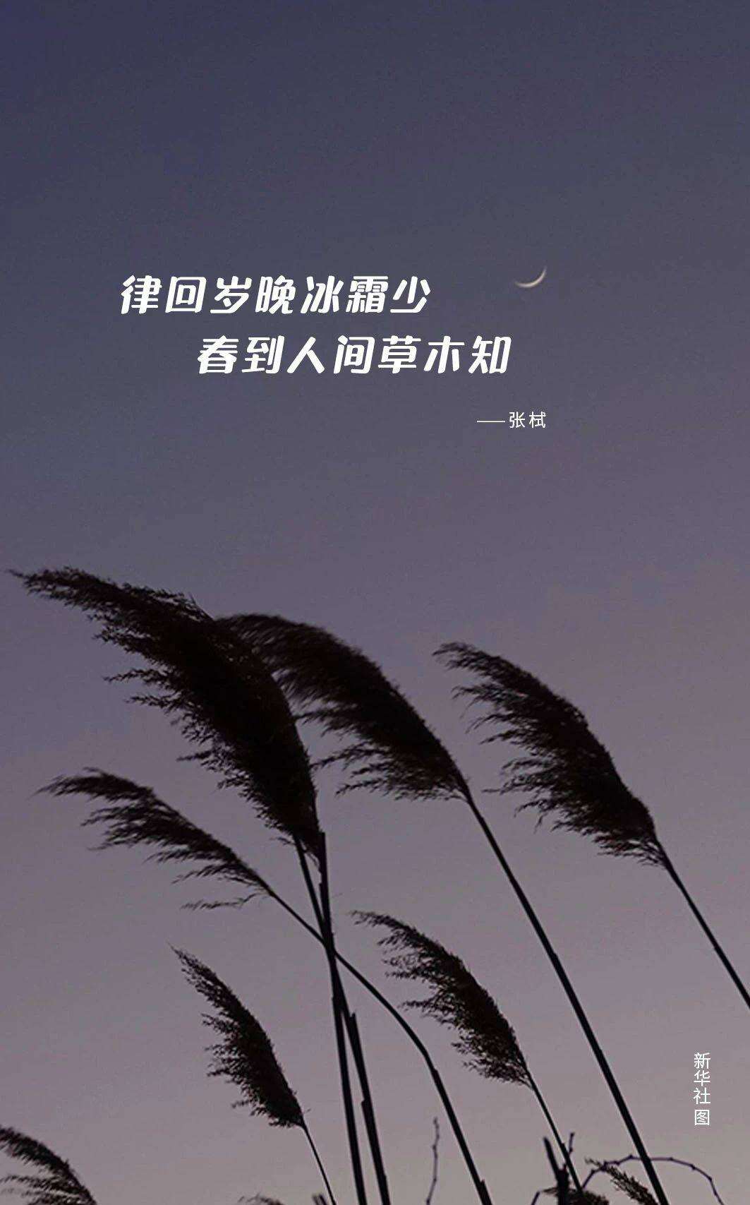 b8acf3627a2f9eae070fd8159c92acac.jpg b8acf3627a2f9eae070fd8159c92acac.jpg