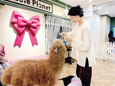 binary_middle (1).jpg